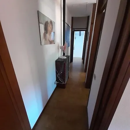 Iris * كاسارزا ليغير